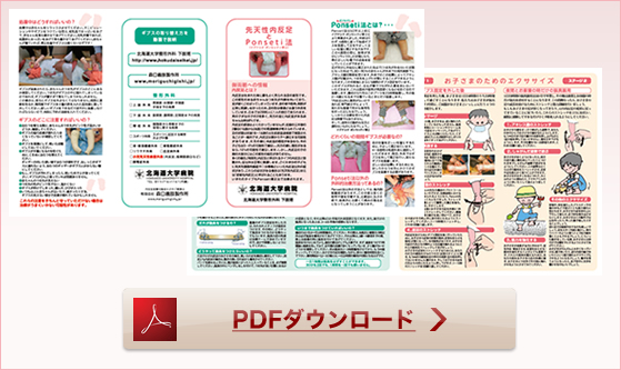 PDFダウンロード